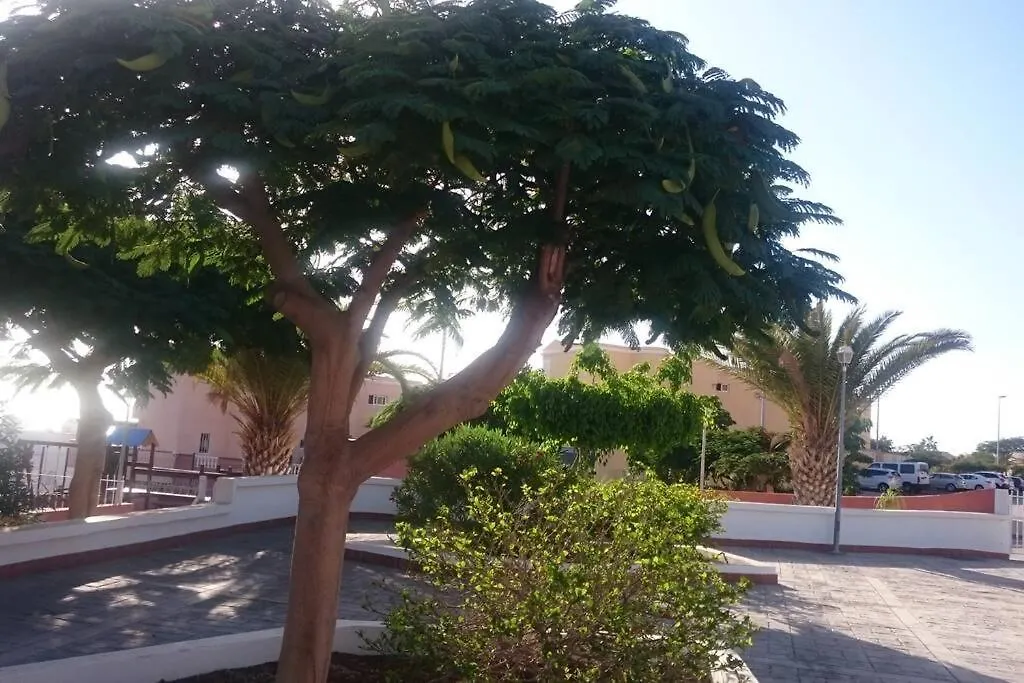 Casa vacanze Villa Dream House Callao Salvaje Spagna